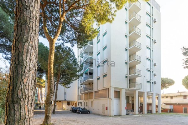 appartamento in vendita a Comacchio in zona Lido degli Estensi