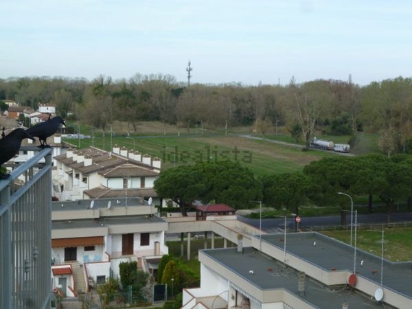 appartamento in vendita a Comacchio in zona Lido di Pomposa