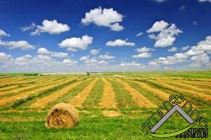 terreno agricolo in vendita a Comacchio