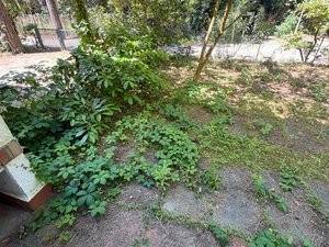 casa indipendente in vendita a Comacchio in zona Lido di Spina