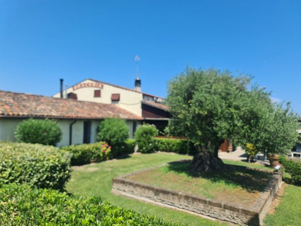 negozio in vendita a Comacchio in zona Lido di Spina