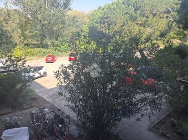 appartamento in vendita a Comacchio in zona Porto Garibaldi