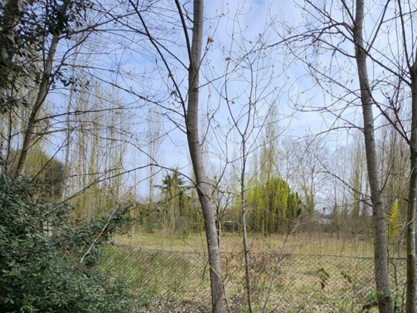 terreno agricolo in vendita a Comacchio in zona San Giuseppe
