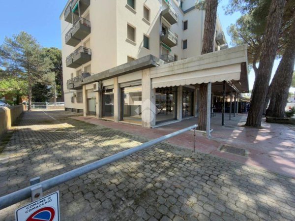box auto in vendita a Comacchio in zona Lido degli Estensi