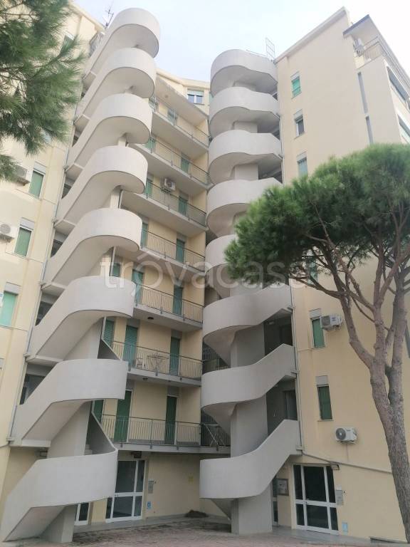 immagine annuncio 0 di 15
