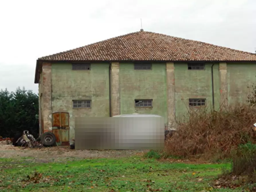 terreno agricolo in vendita a Copparo