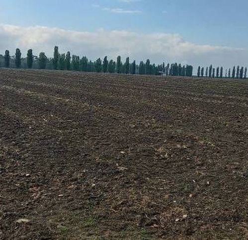 casa indipendente in vendita a Copparo