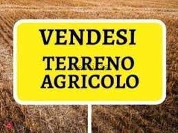 terreno agricolo in vendita a Copparo