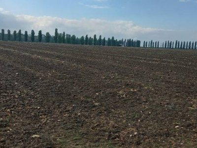 casa indipendente in vendita a Copparo