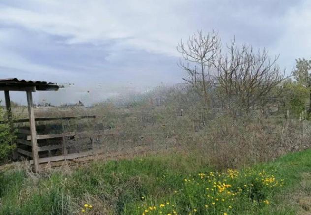 terreno agricolo in vendita a Copparo