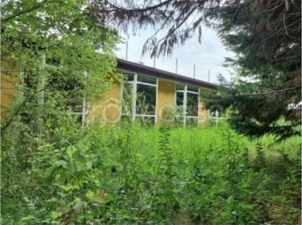 negozio in vendita a Copparo in zona Saletta