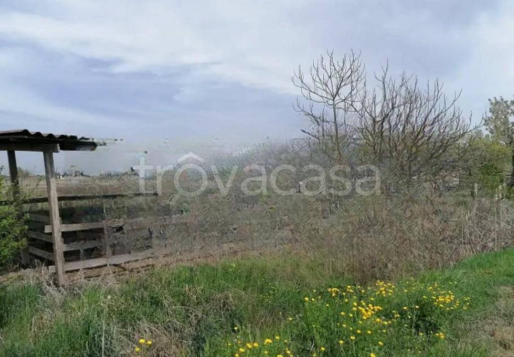 terreno agricolo in vendita a Copparo