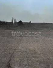 locale commerciale in vendita a Copparo