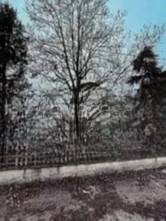 appartamento in vendita a Copparo