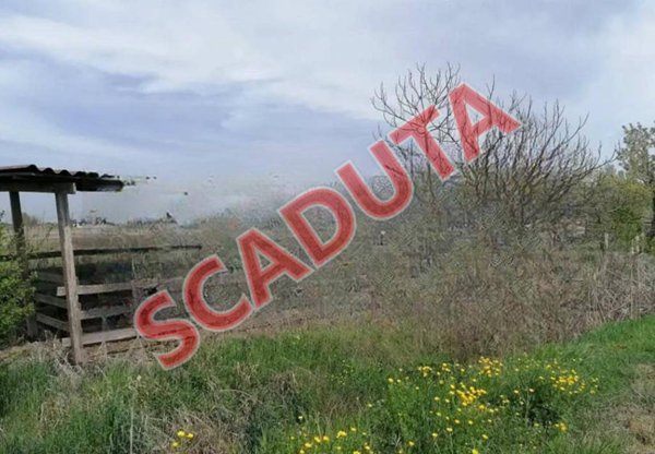 terreno agricolo in vendita a Copparo