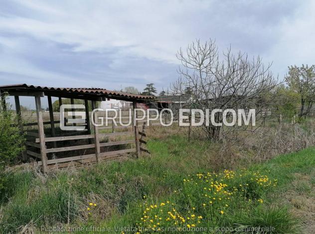 terreno agricolo in vendita a Copparo