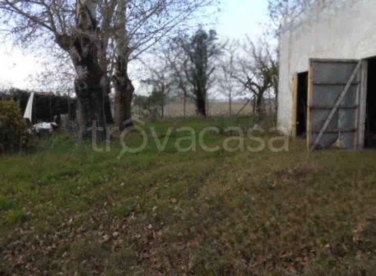 casa indipendente in vendita a Copparo in zona Brazzolo