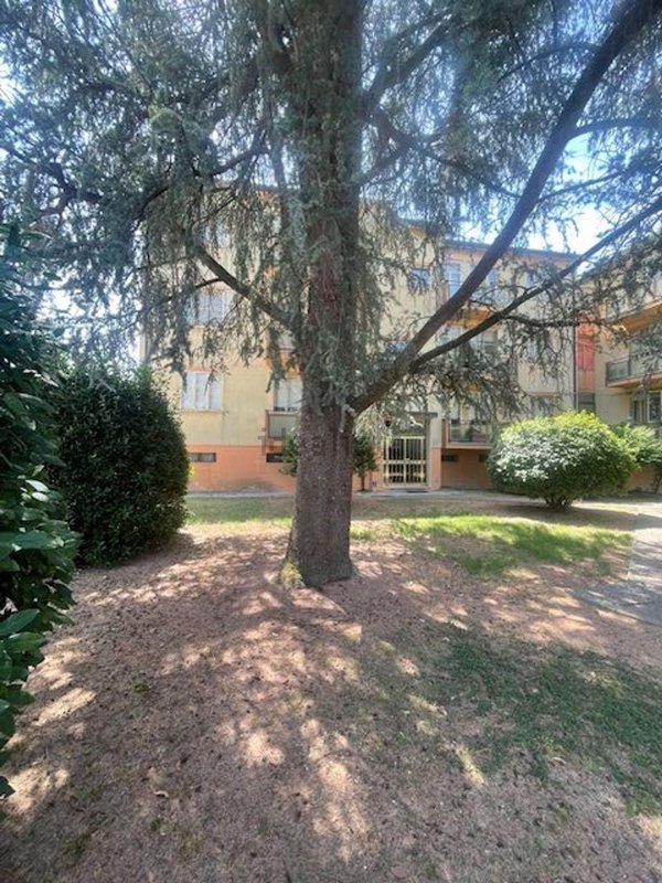 appartamento in vendita a Copparo in zona Coccanile-Cesta