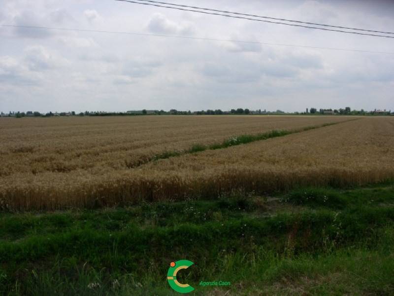 terreno agricolo in vendita a Ferrara in zona San Martino