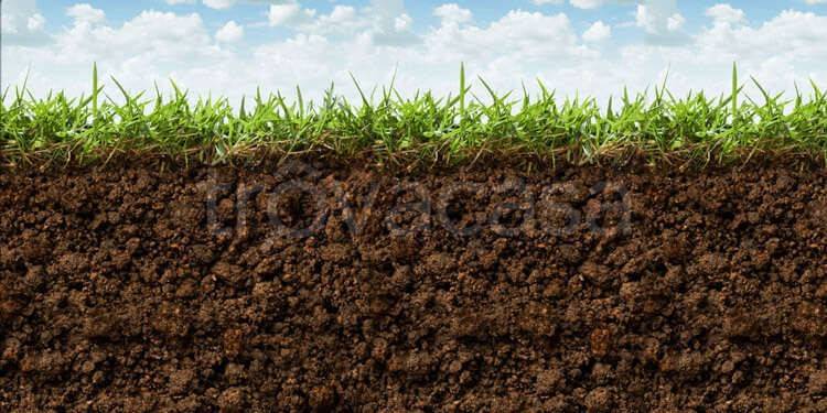 terreno agricolo in vendita a Ferrara in zona Boara