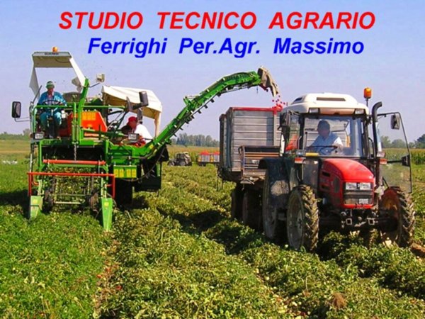 terreno agricolo in vendita a Ferrara in zona Correggio