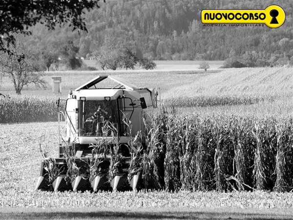 terreno agricolo in vendita a Ferrara in zona Cona