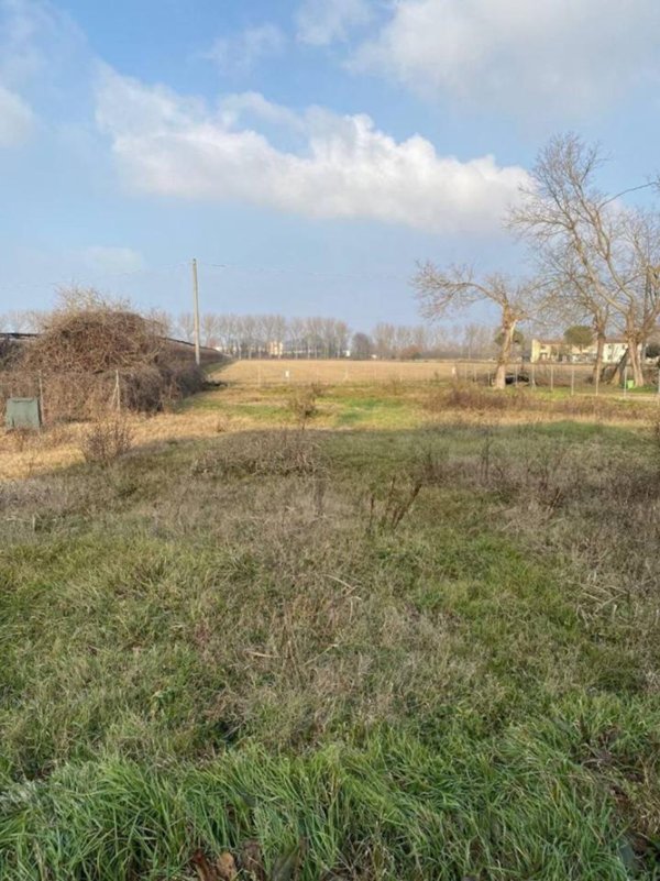 terreno agricolo in vendita a Ferrara in zona Porotto / Cassana