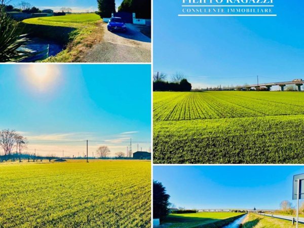 terreno agricolo in vendita a Ferrara in zona Porotto / Cassana