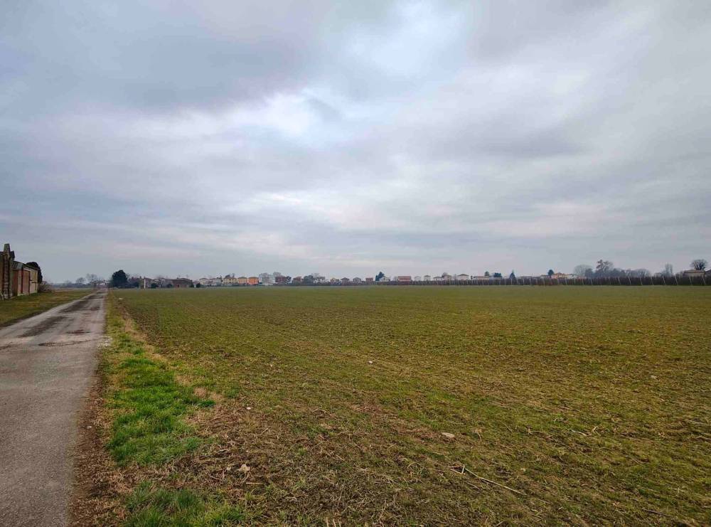 azienda agricola in vendita a Ferrara in zona San Martino