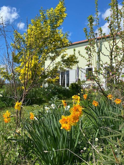 casa indipendente in vendita a Ferrara in zona Pontelagoscuro