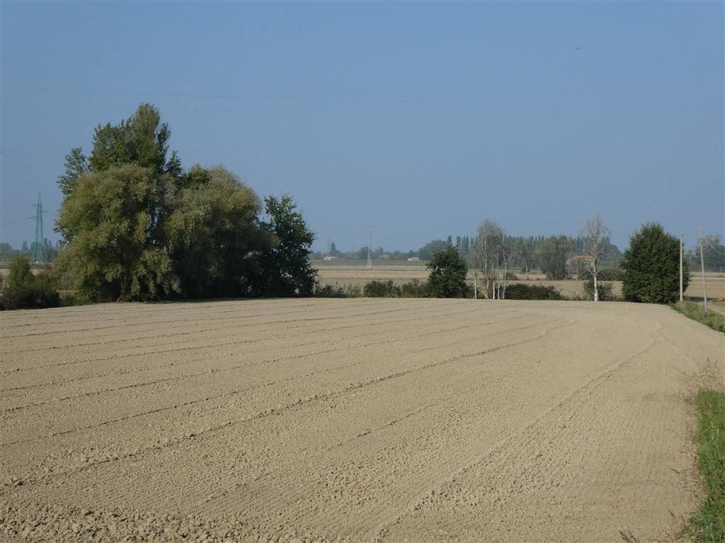 terreno agricolo in vendita a Ferrara in zona San Martino