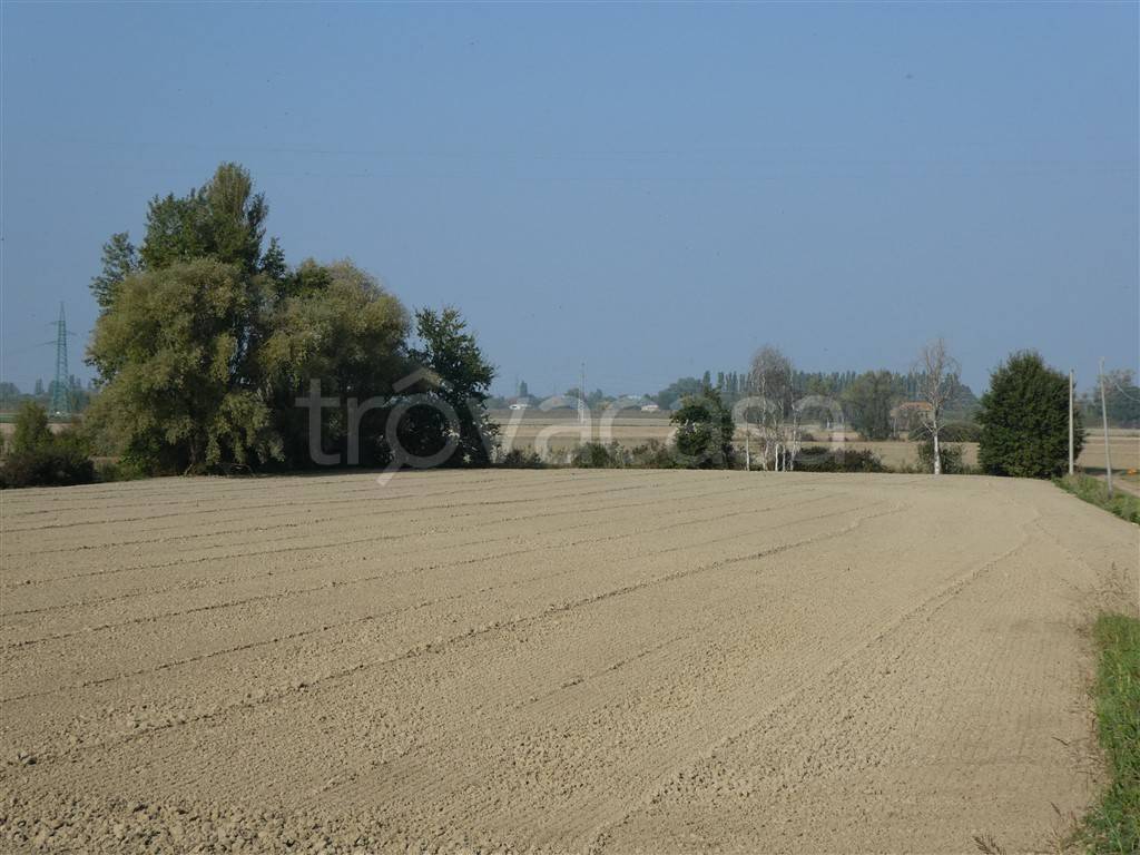 terreno agricolo in vendita a Ferrara in zona Sant'Egidio / Gaibanella