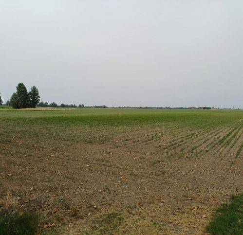 terreno agricolo in vendita a Ferrara in zona San Martino