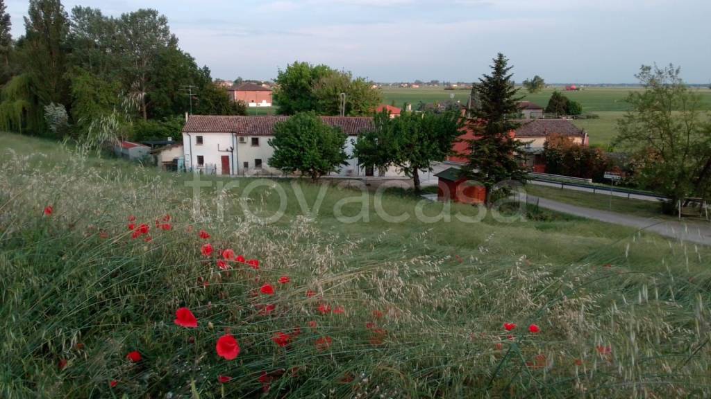 casa indipendente in vendita a Ferrara in zona Casaglia