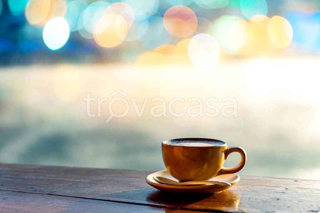 trivano in vendita a Ferrara