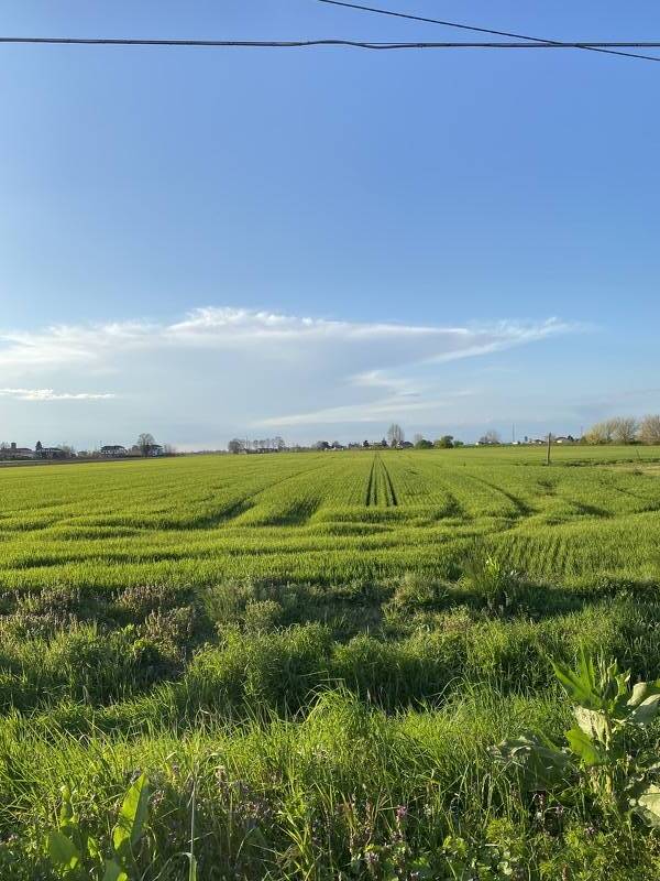 terreno agricolo in vendita a Ferrara
