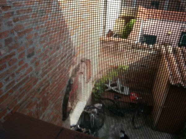 appartamento in vendita a Ferrara