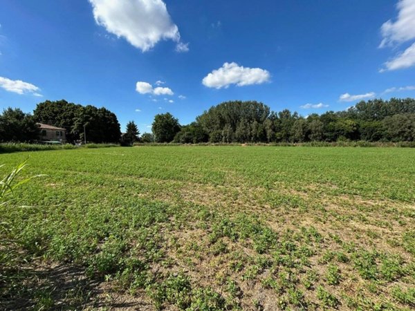 terreno agricolo in vendita a Ferrara in zona Doro