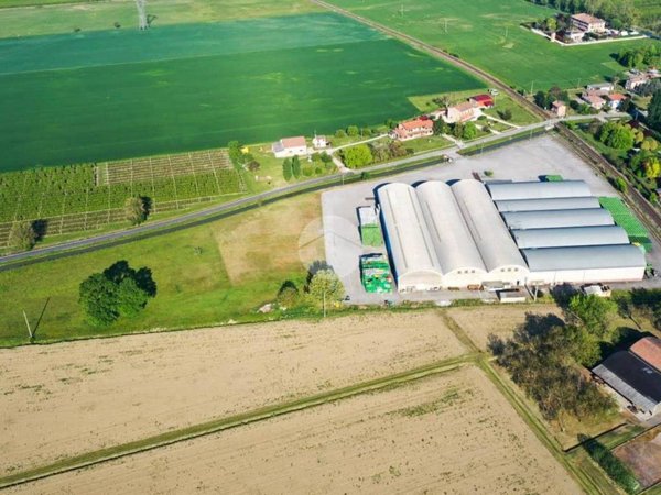 terreno agricolo in vendita a Ferrara in zona Cona