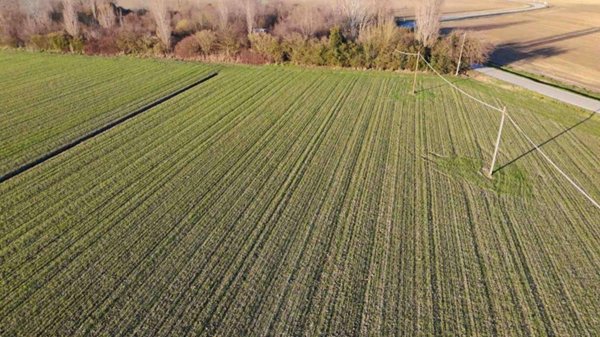 terreno agricolo in vendita a Ferrara in zona Quartiere Giardino / Acquedotto