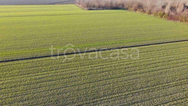 terreno agricolo in vendita a Ferrara in zona Francolino