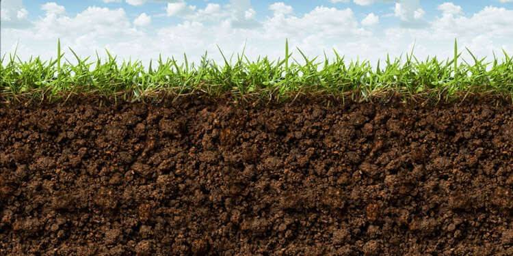 terreno agricolo in vendita a Ferrara in zona Boara