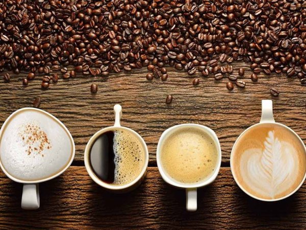 negozio in vendita a Ferrara in zona Porotto / Cassana