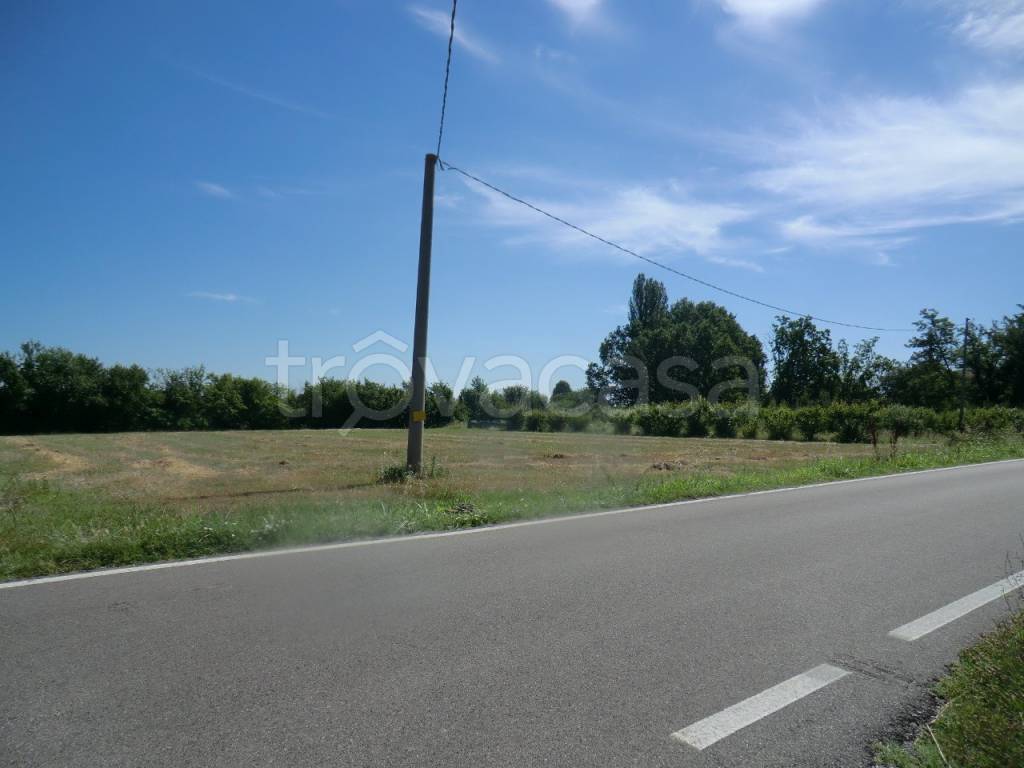 negozio in vendita a Ferrara