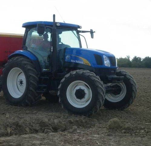 terreno agricolo in vendita a Ferrara in zona Boara