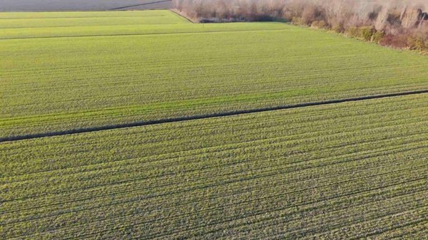terreno agricolo in vendita a Ferrara in zona Francolino