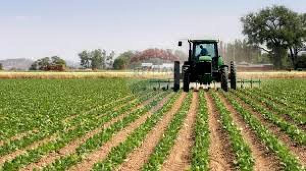 terreno agricolo in vendita a Ferrara in zona Cona