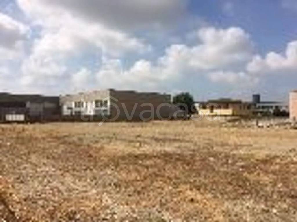 terreno agricolo in vendita a Ferrara