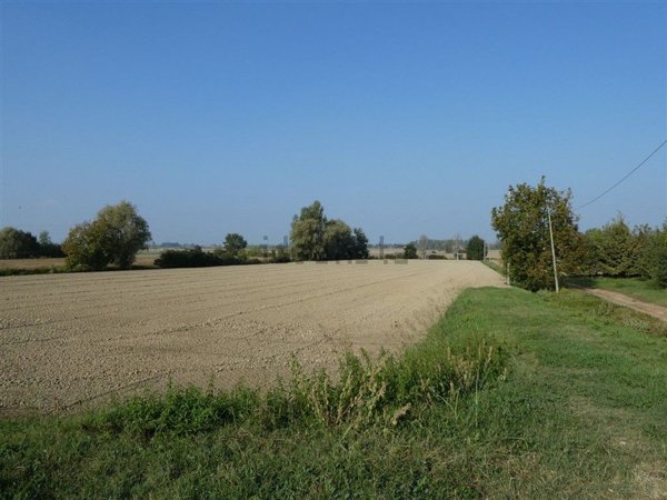 terreno agricolo in vendita a Ferrara in zona Sant'Egidio / Gaibanella