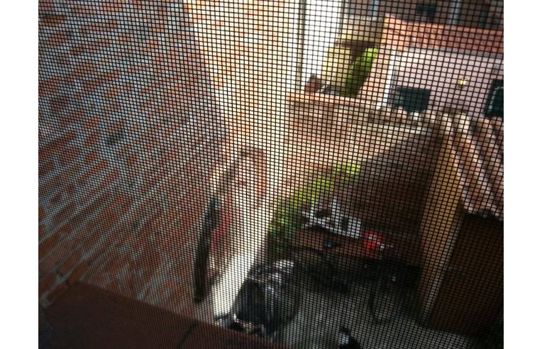 appartamento in vendita a Ferrara